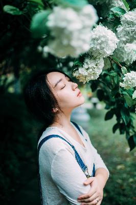 大地资源免费视频观看,大地资源高清播放在线观看