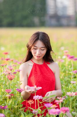 风流女管家