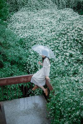 芳草地电影免费观看