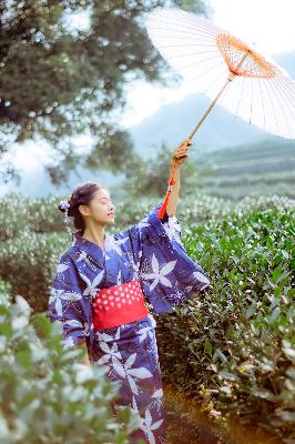 青苹果乐园电视剧影视,青苹果乐园在线观看免费